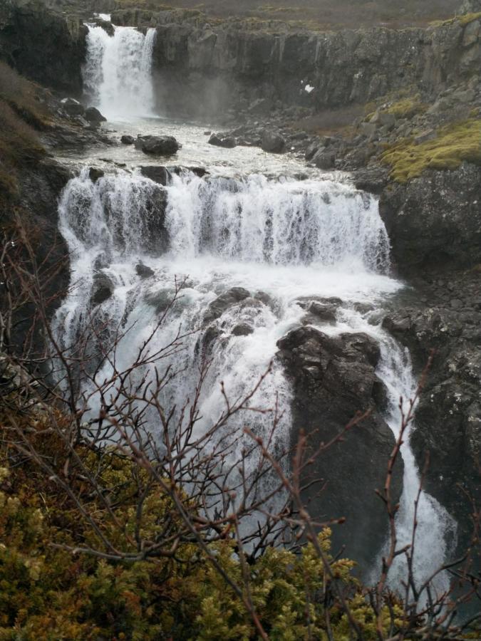 Aegisholt Privete House With Hot Tub Appartement Patreksfjordur Buitenkant foto