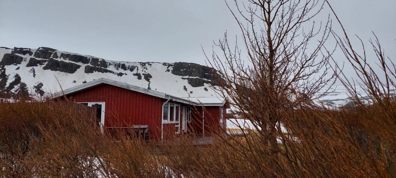 Aegisholt Privete House With Hot Tub Appartement Patreksfjordur Buitenkant foto